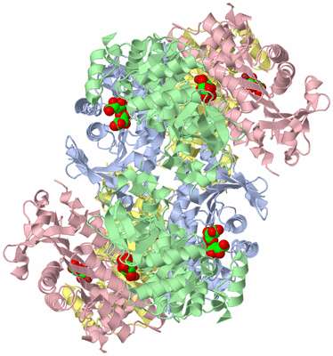 Image Biological Unit 1