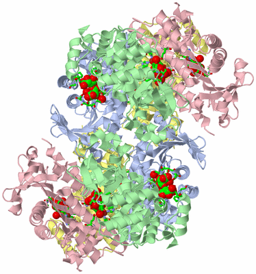 Image Biol. Unit 1 - sites