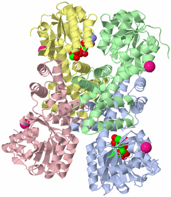 Image Asym./Biol. Unit