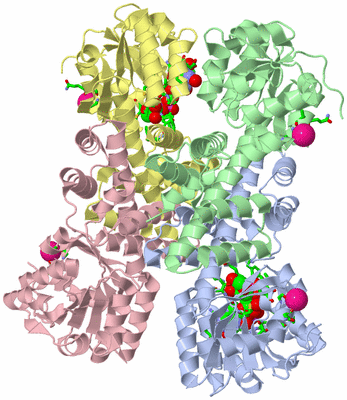 Image Asym./Biol. Unit - sites