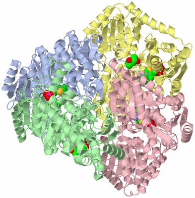 Image Asym./Biol. Unit