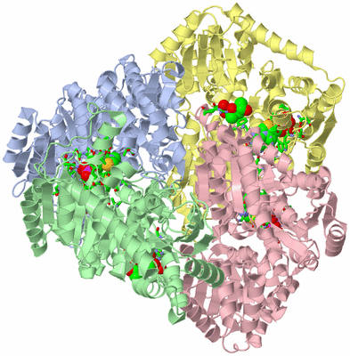 Image Asym./Biol. Unit - sites