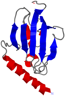 Image NMR Structure - model 1