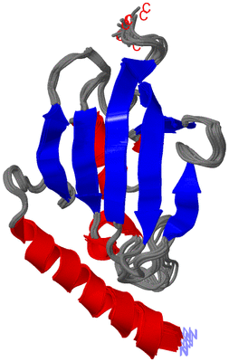 Image NMR Structure - all models