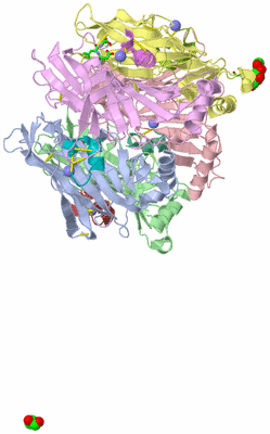 Image Biol. Unit 1 - sites