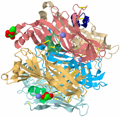 Image Biological Unit 2