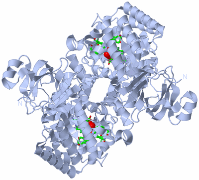 Image Biol. Unit 1 - sites