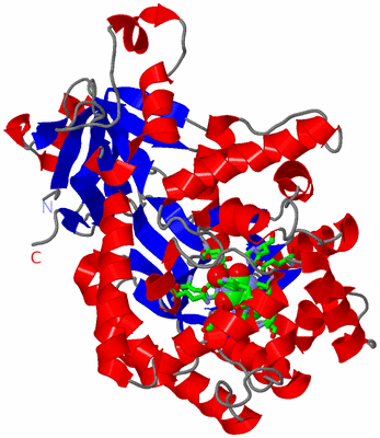 Image Asym. Unit - sites