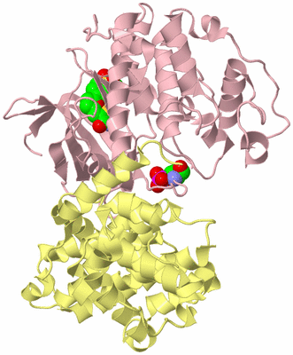 Image Biological Unit 2