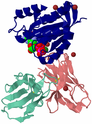 Image Asym./Biol. Unit