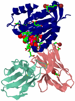 Image Asym./Biol. Unit - sites