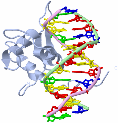 Image Biological Unit 1