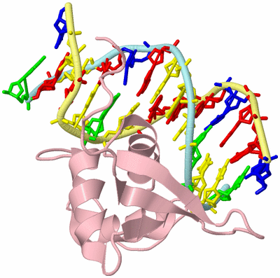 Image Biological Unit 2