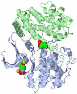 Image Biological Unit 1