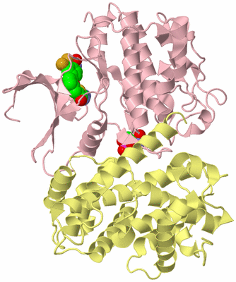 Image Biological Unit 2