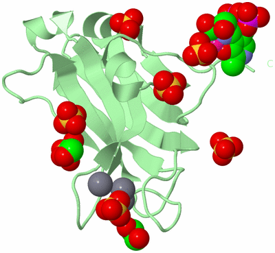 Image Biological Unit 2