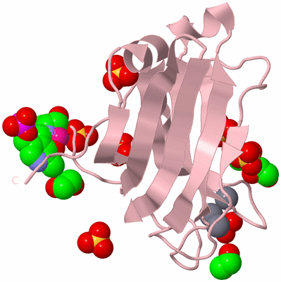 Image Biological Unit 3