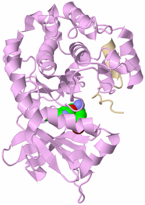 Image Asym./Biol. Unit