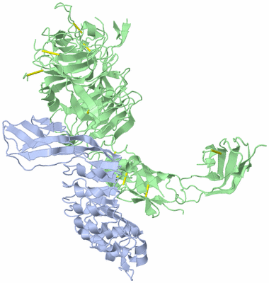 Image Biological Unit 1