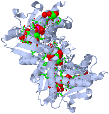 Image Biol. Unit 1 - sites