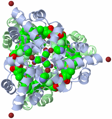 Image Biological Unit 1