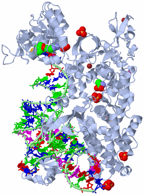 Image Biological Unit 1