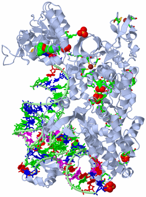 Image Biol. Unit 1 - sites