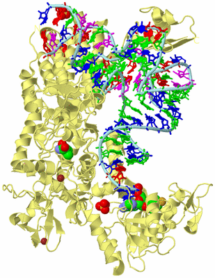 Image Biological Unit 2