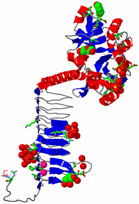 Image Asym. Unit - sites