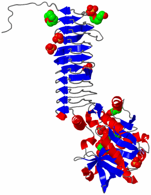 Image Asymmetric Unit