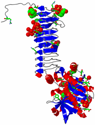 Image Asym. Unit - sites