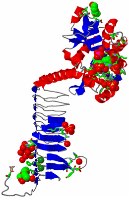 Image Asym. Unit - sites