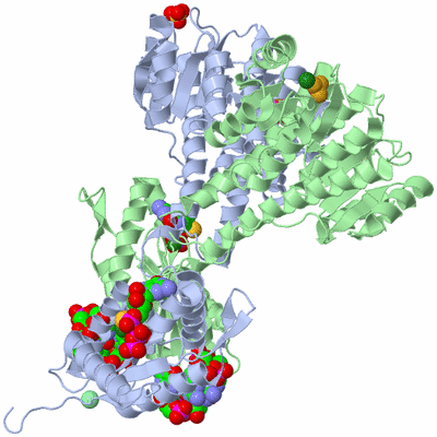 Image Asym./Biol. Unit