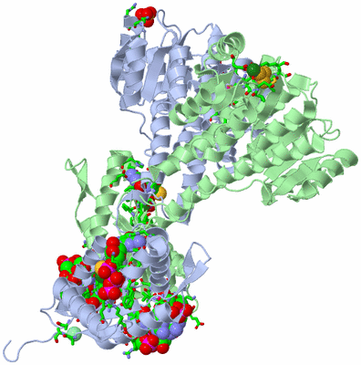 Image Asym./Biol. Unit - sites