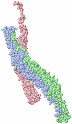 Image Asymmetric Unit