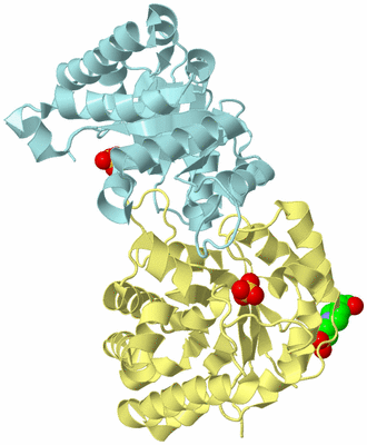 Image Biological Unit 3