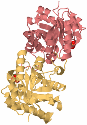 Image Biological Unit 4