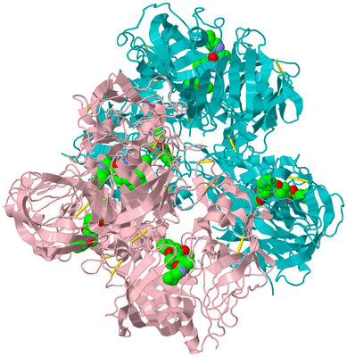 Image Biological Unit 1