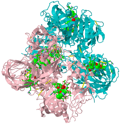 Image Biol. Unit 1 - sites