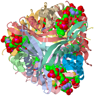 Image Asym./Biol. Unit