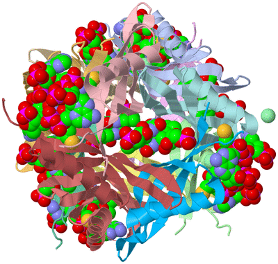 Image Asym./Biol. Unit