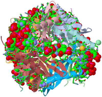 Image Asym./Biol. Unit - sites