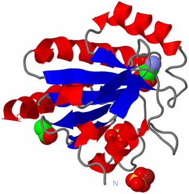 Image Asym./Biol. Unit