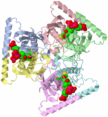 Image Asym./Biol. Unit