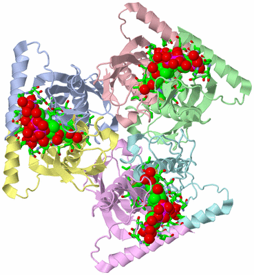 Image Asym./Biol. Unit - sites