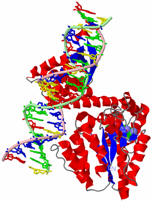 Image Asym./Biol. Unit