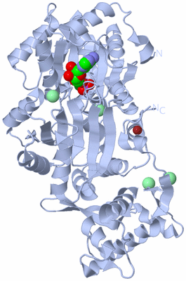 Image Biological Unit 1