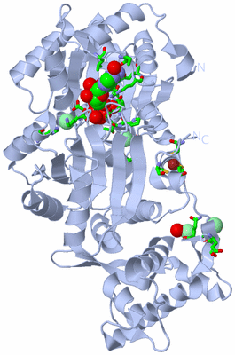 Image Biol. Unit 1 - sites