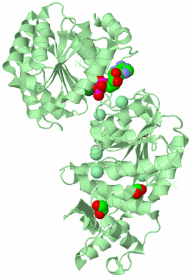 Image Biological Unit 2