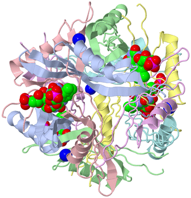 Image Biological Unit 1